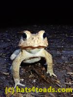 /home//u458753944/public_html/sourcegallery//McKaig Nature Center/2020-09-27/P9270743.JPG